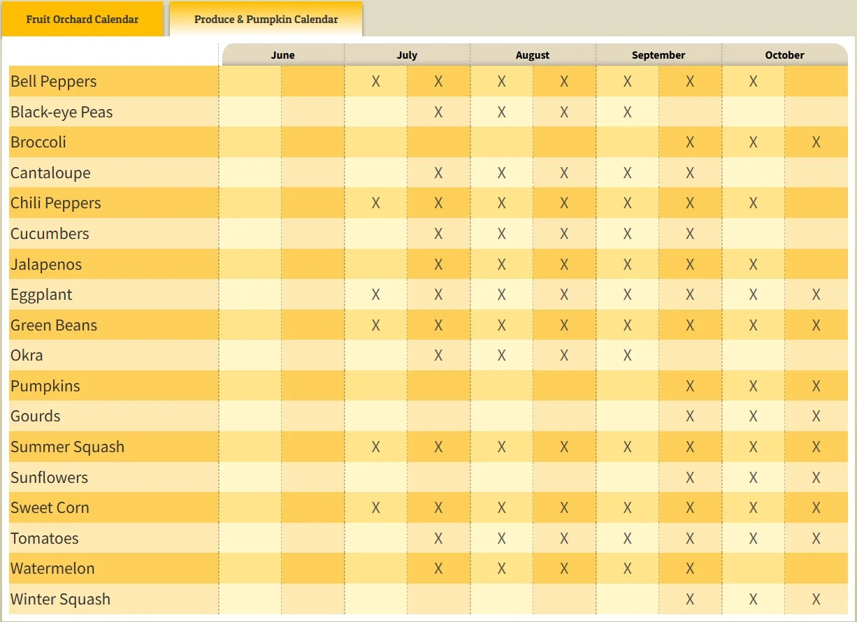 Tucson 图森 走咱们去摘南瓜了!