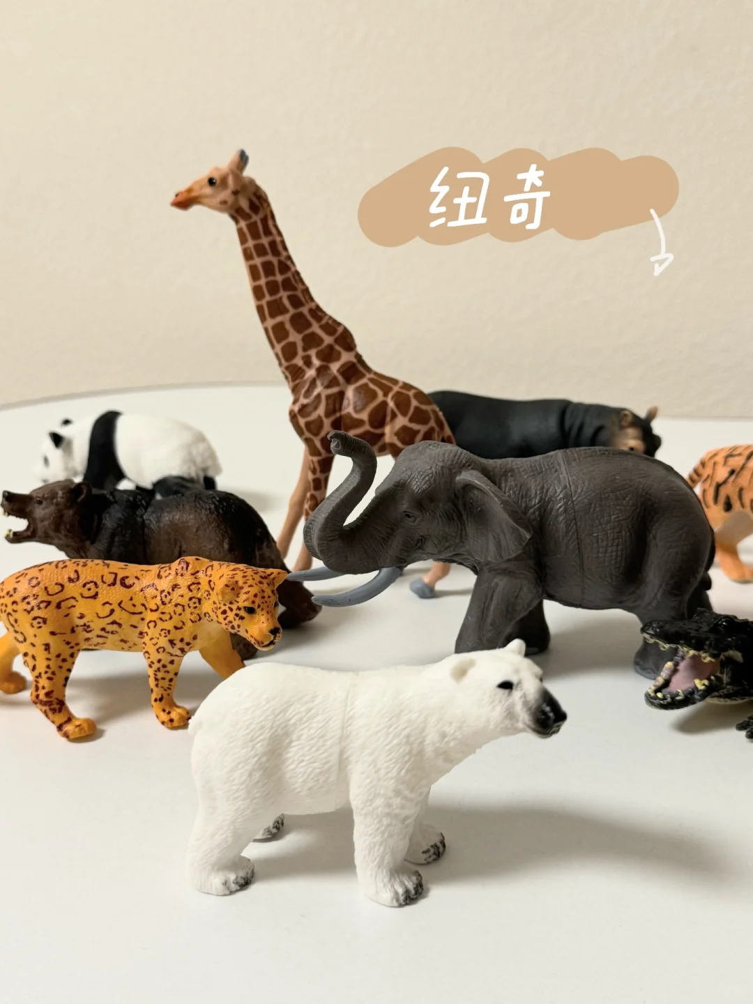 思乐Schleich纽奇 玛奇乐 仿真动物模型对比