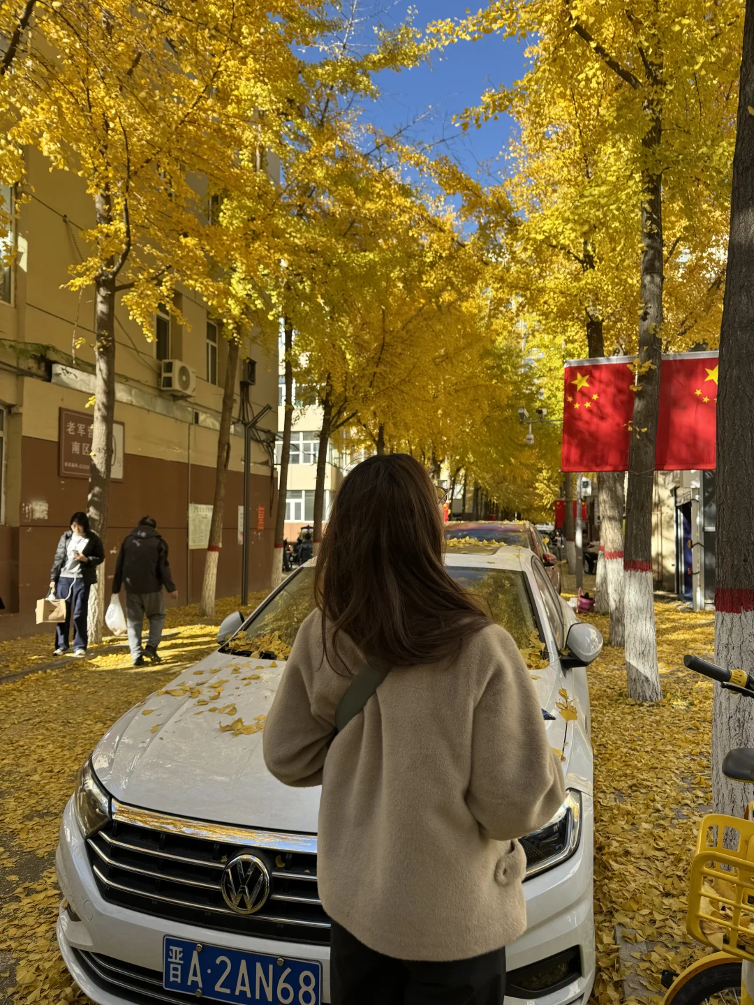 太原银杏地图?｜错过等一年！已是最佳观赏期