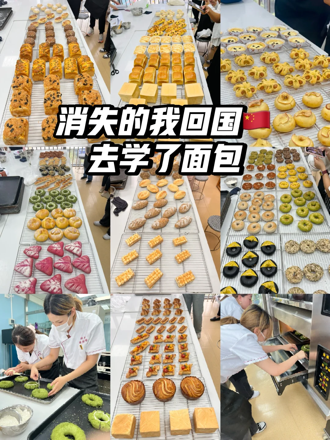 消失的我回国终于学会了做面包?