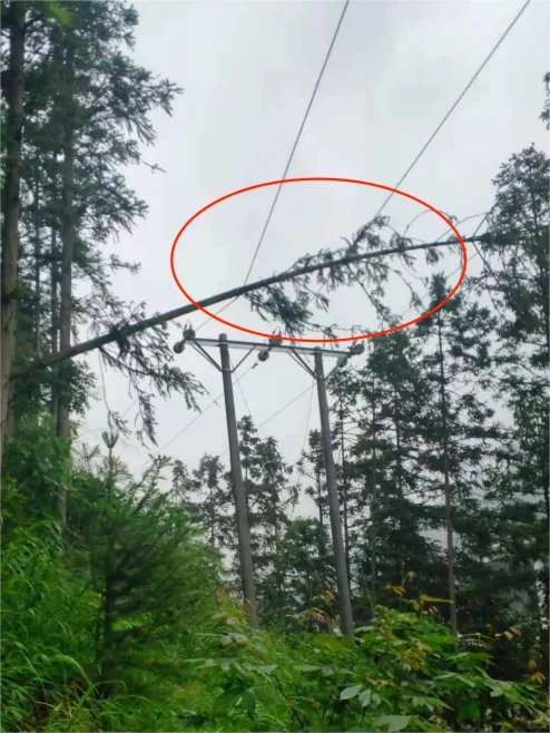 激光防外破在线监测一上线,外破隐患说再见