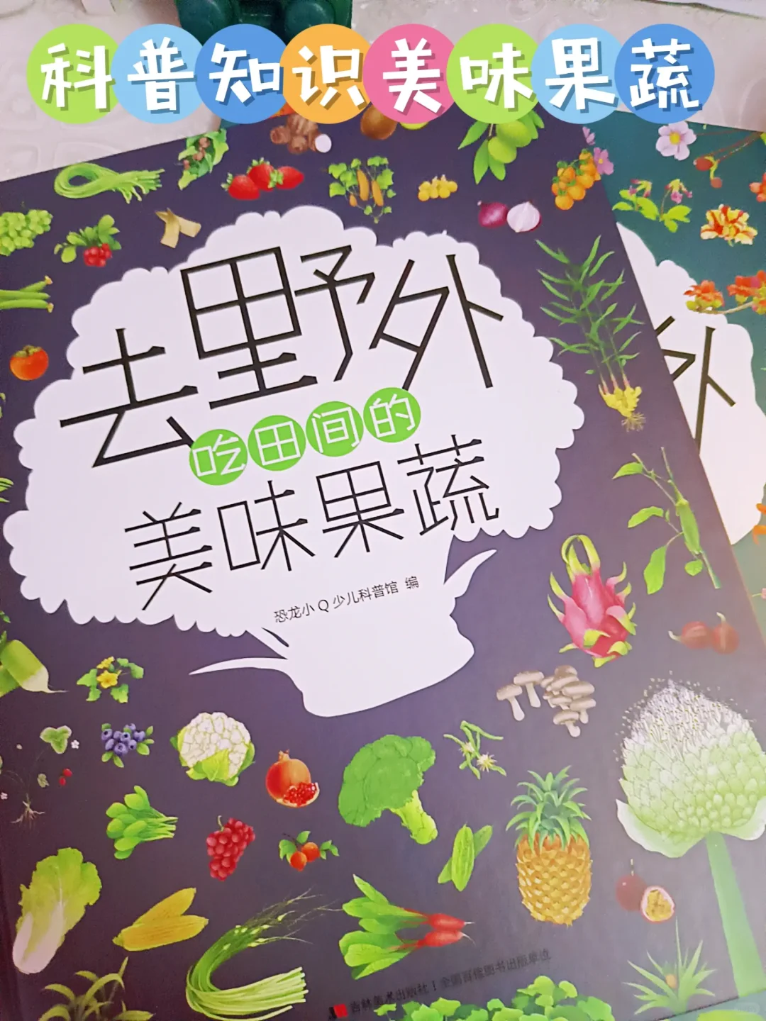 一起去野外吧——美味果蔬篇