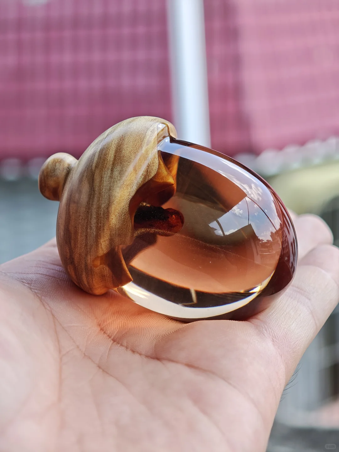 这样看上去脐带像果核