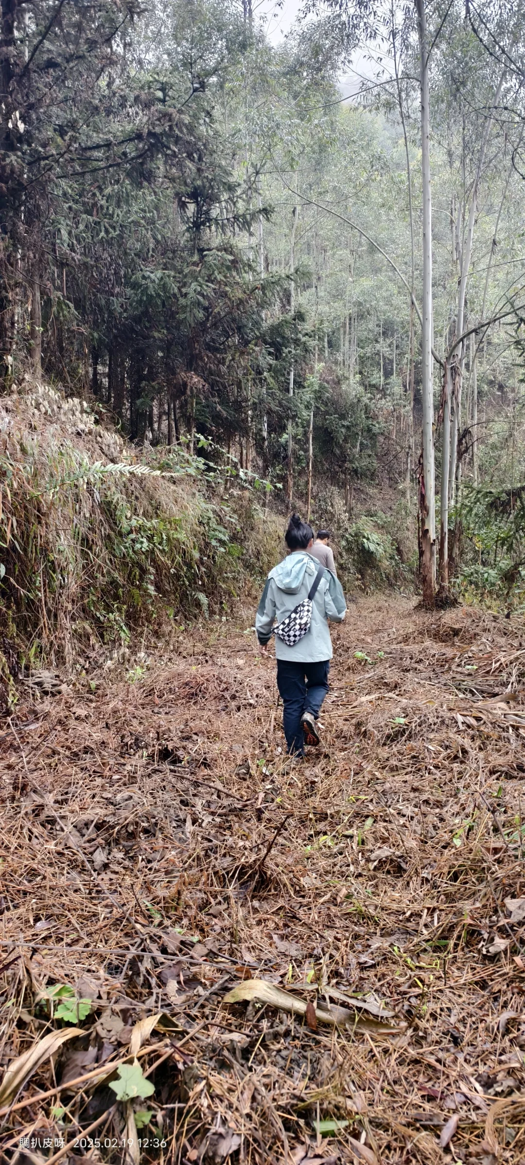 谁说女生不用去林地-篇章5?