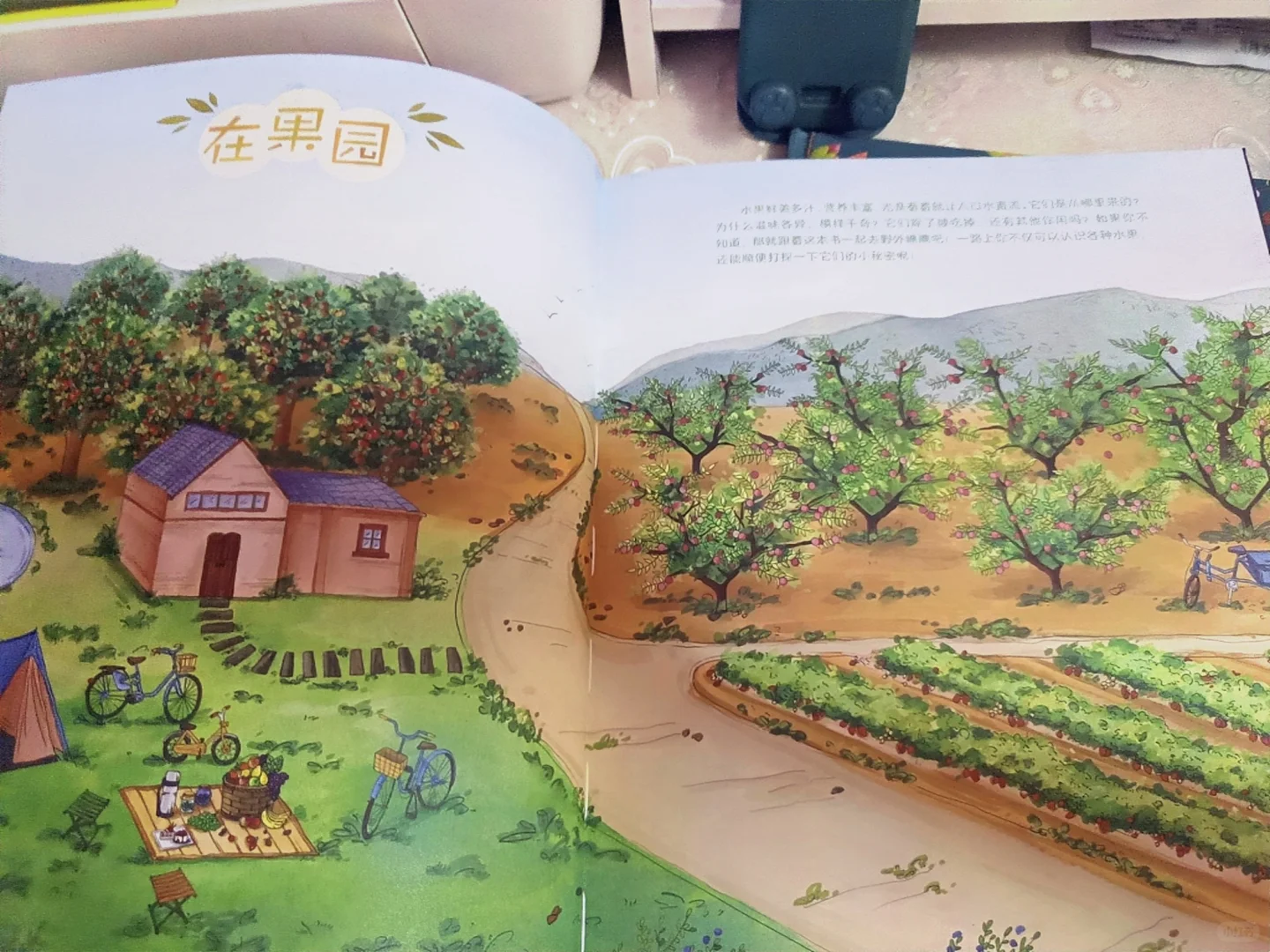 一起去野外吧——美味果蔬篇