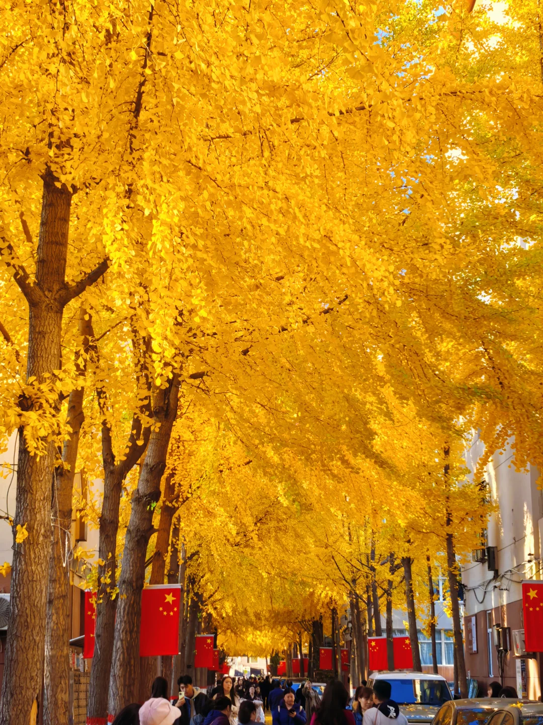 太原的秋天，连小区里也这么好看