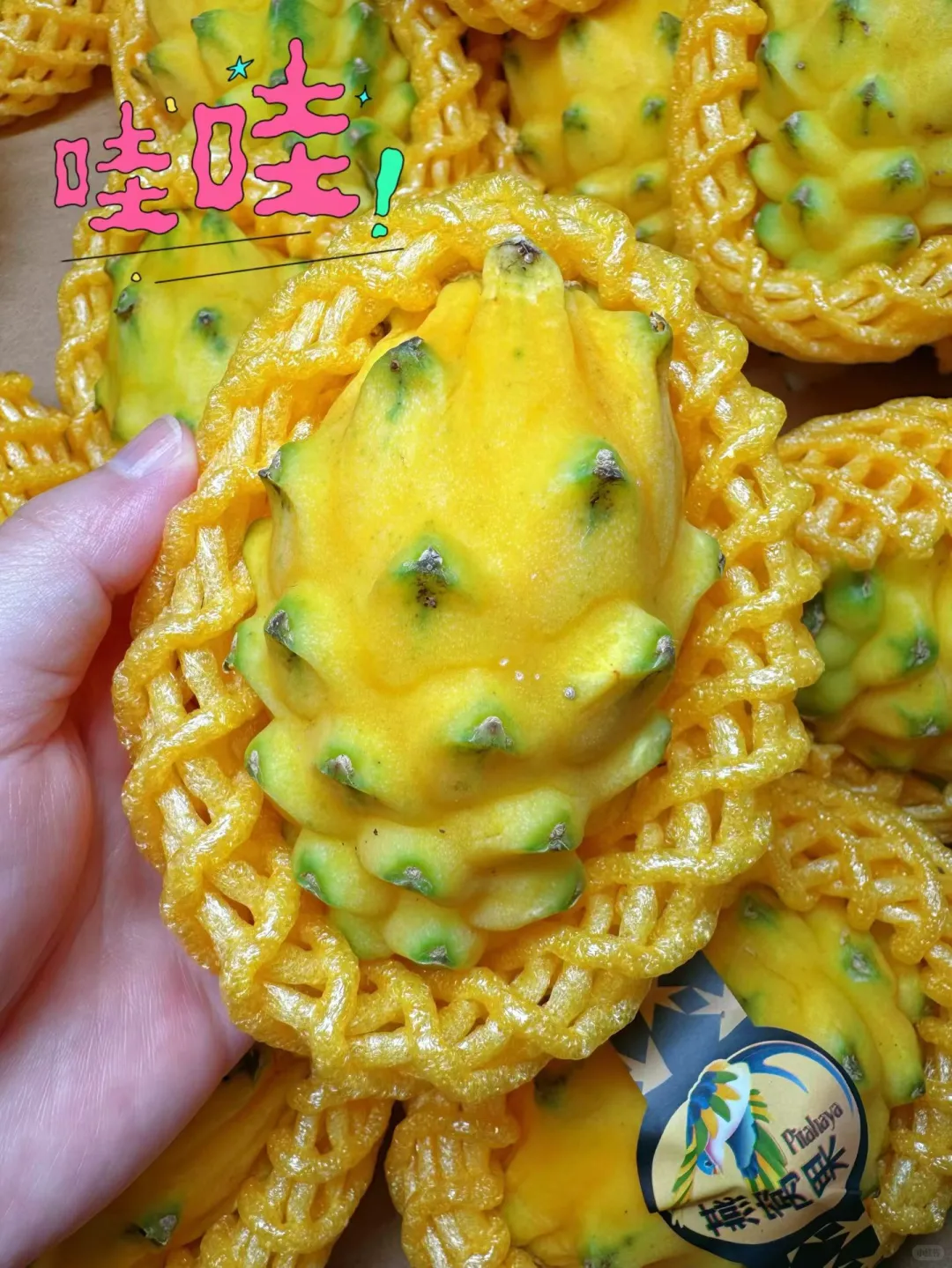 奇奇怪怪的水果