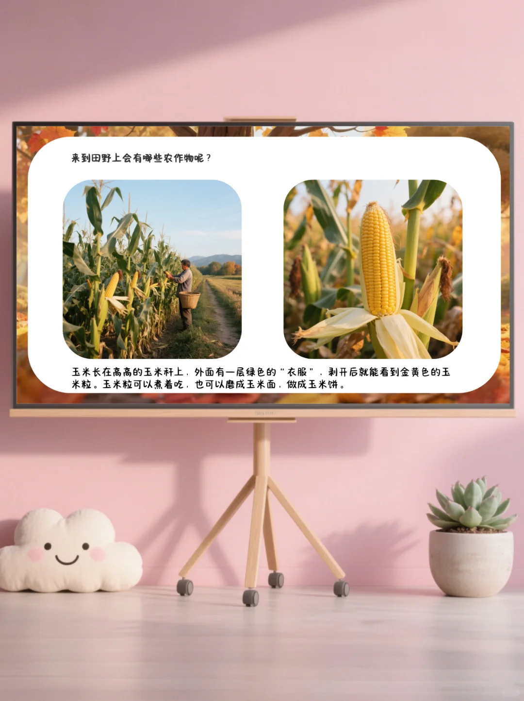 ✨幼儿园公开课｜中大班语言《你好，秋天》