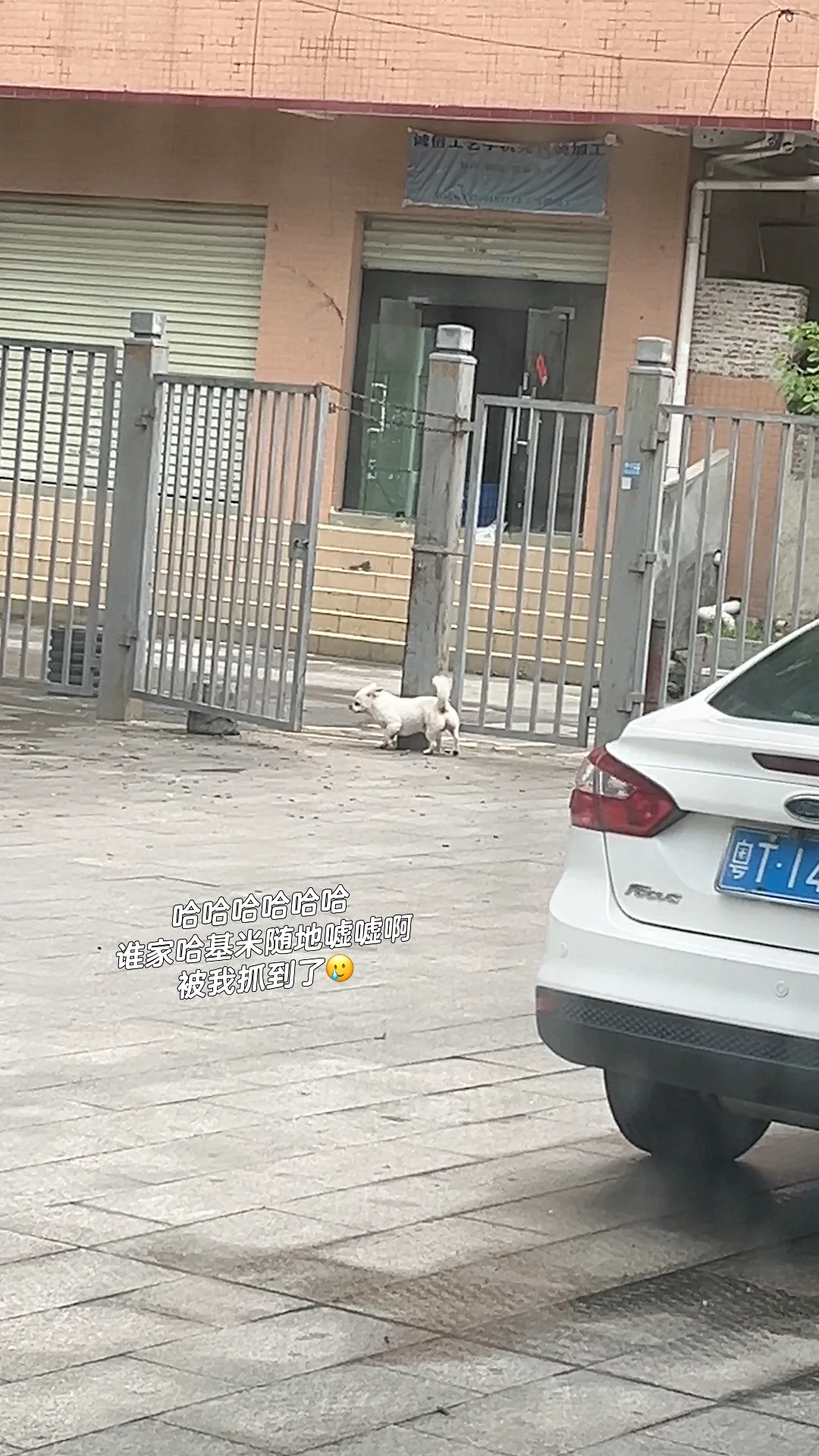 PLOG｜食品研发，工作一天都在吃！！！？