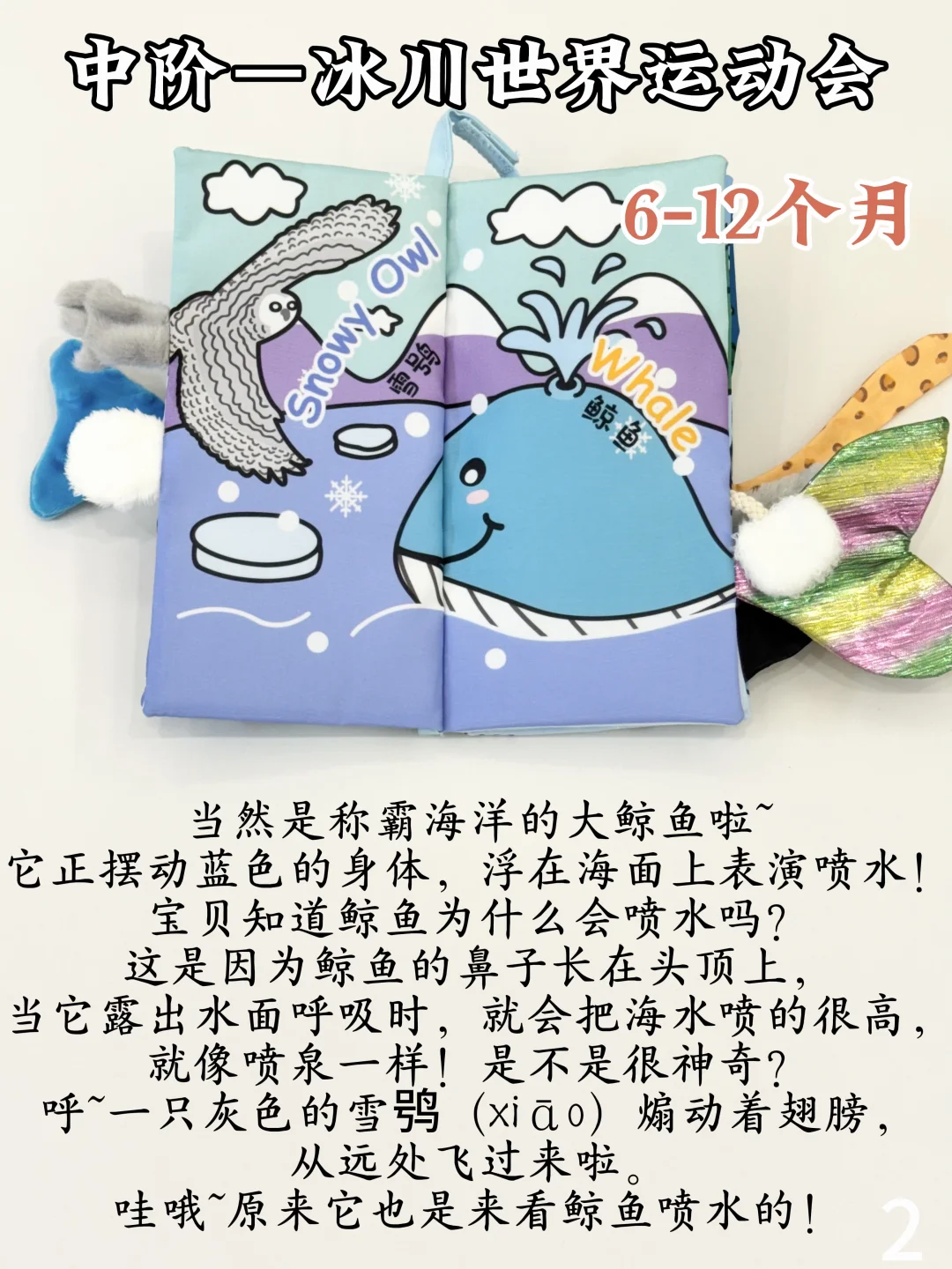 抄作业❗jollybaby冰川布书0~3岁这么读❗