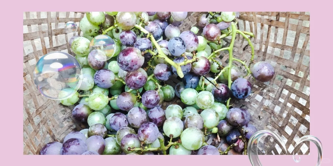 家里的天然水果蔬菜