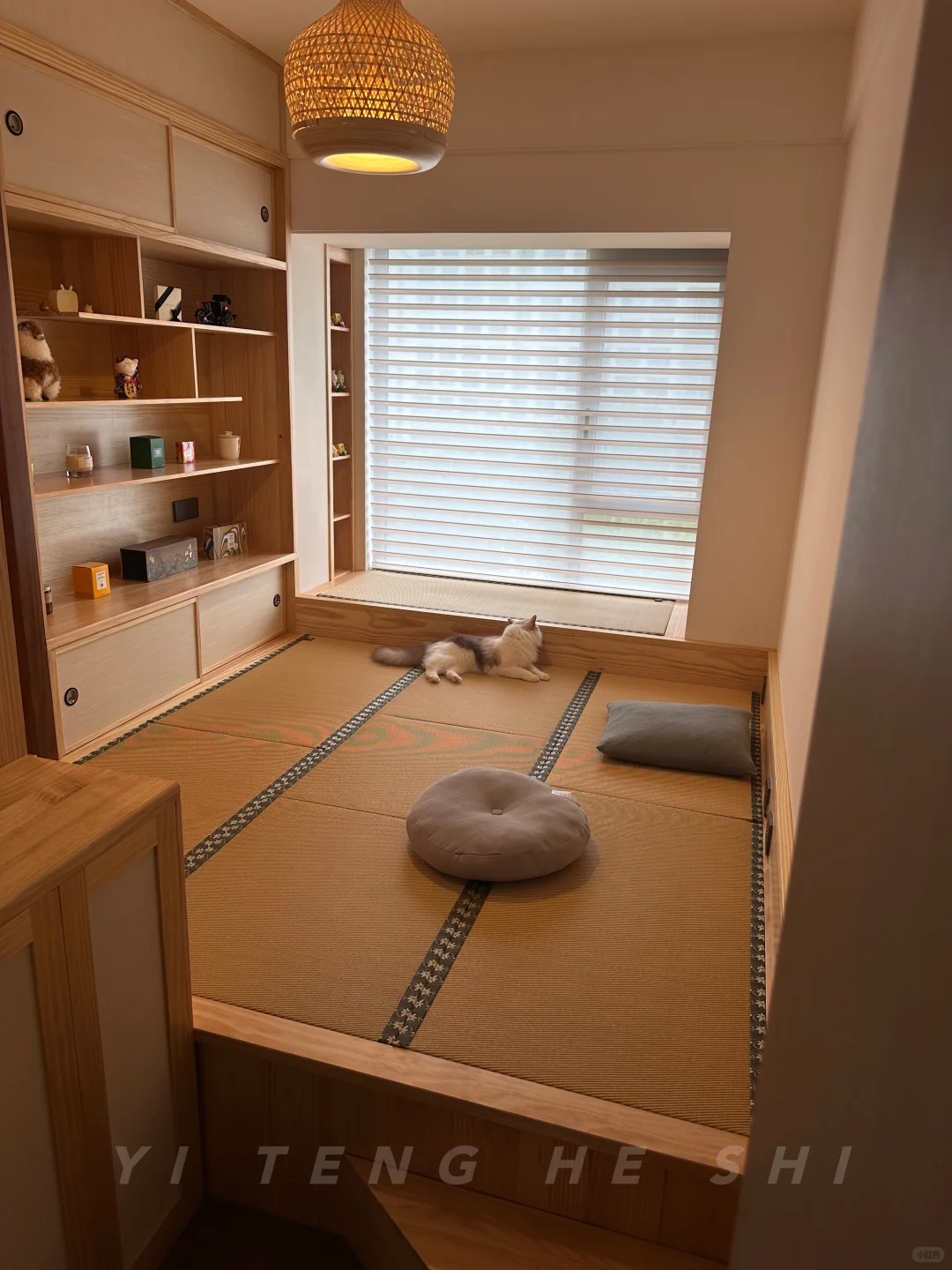 空房爆改猫乐园+茶室榻榻米?闺蜜馋哭了