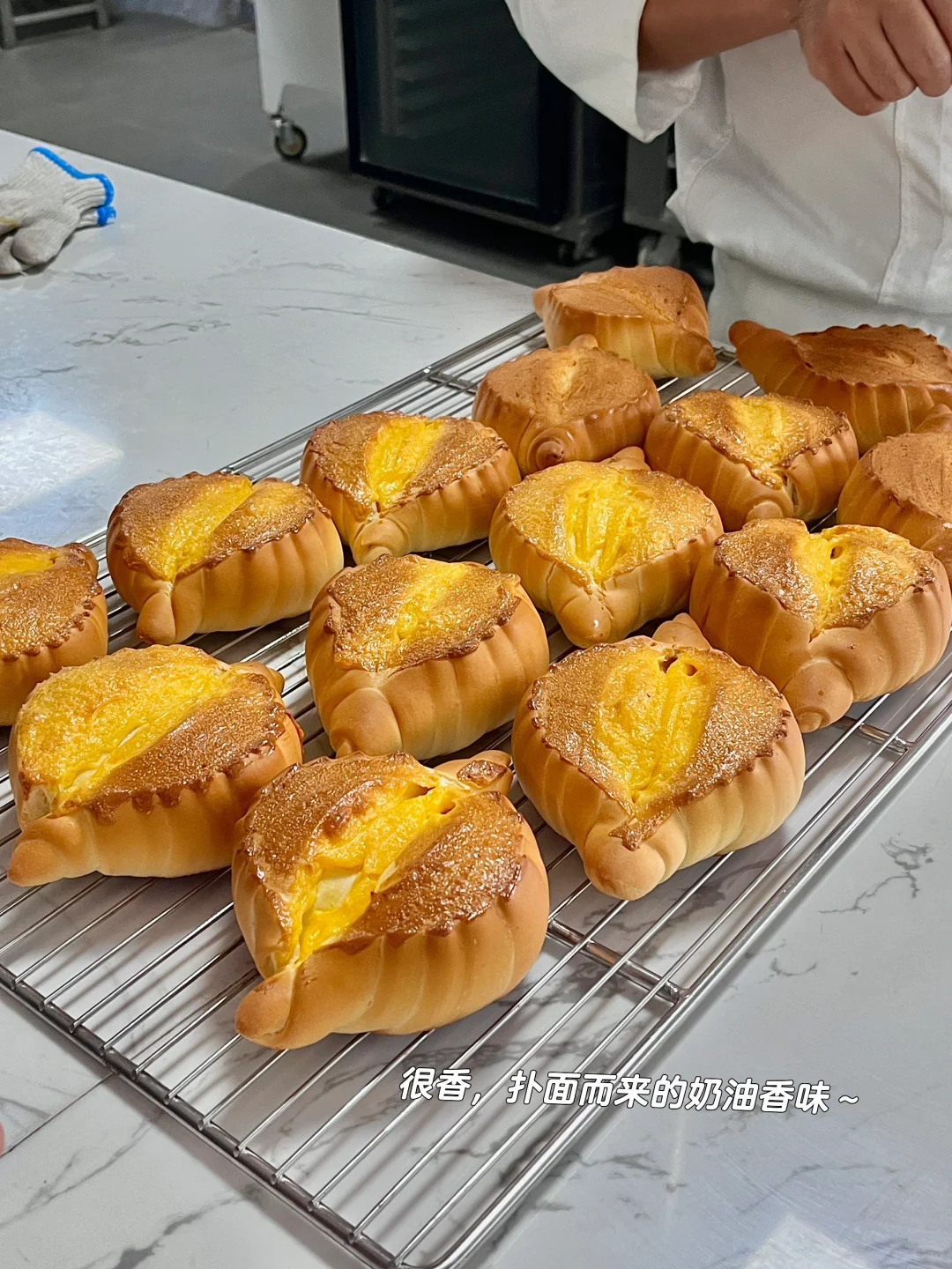 PLOG｜食品研发，工作一天都在吃！！！？