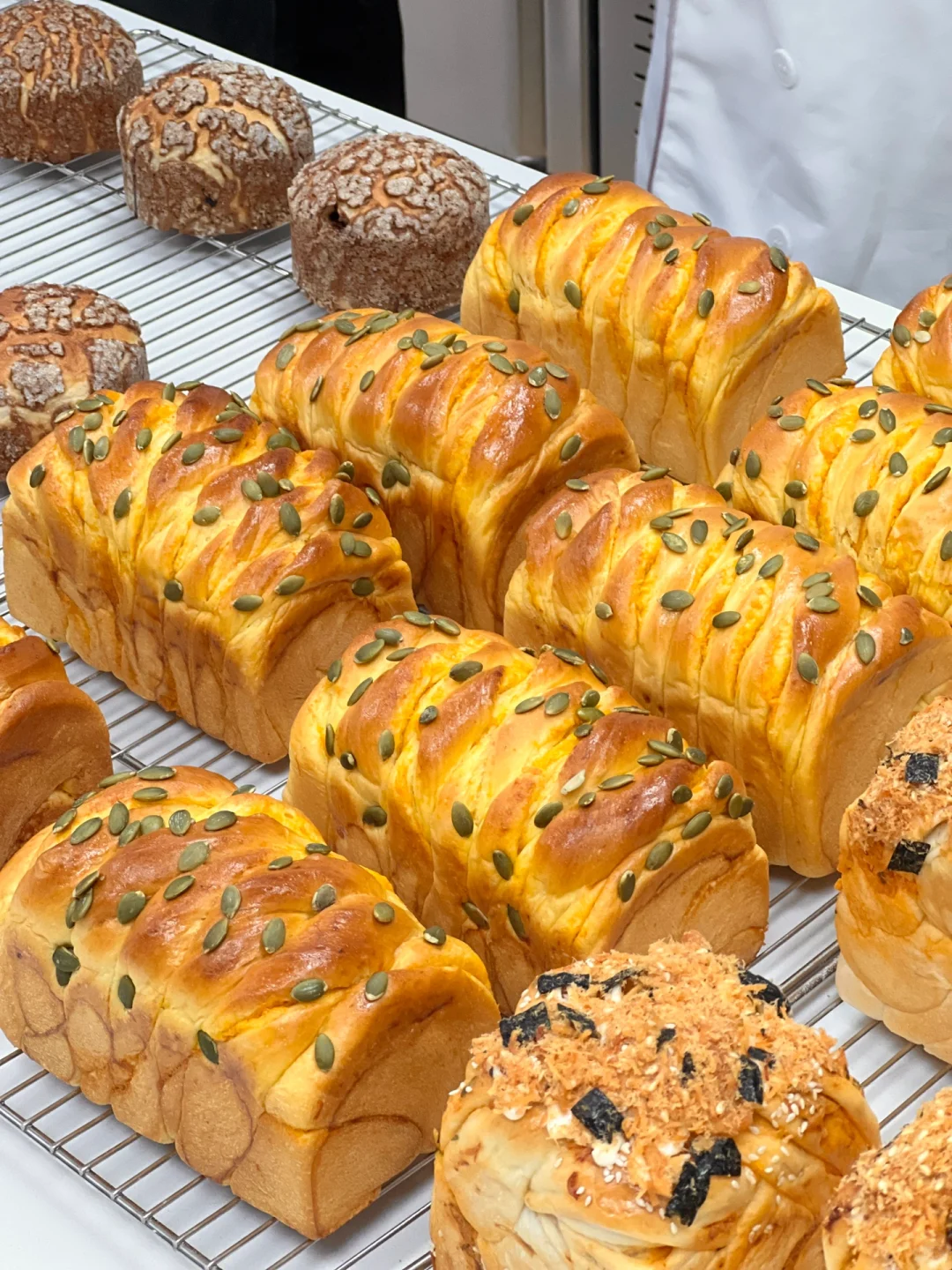 消失的我回国终于学会了做面包?