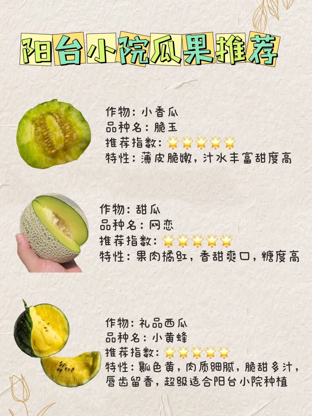 家庭种植瓜果满分?推荐