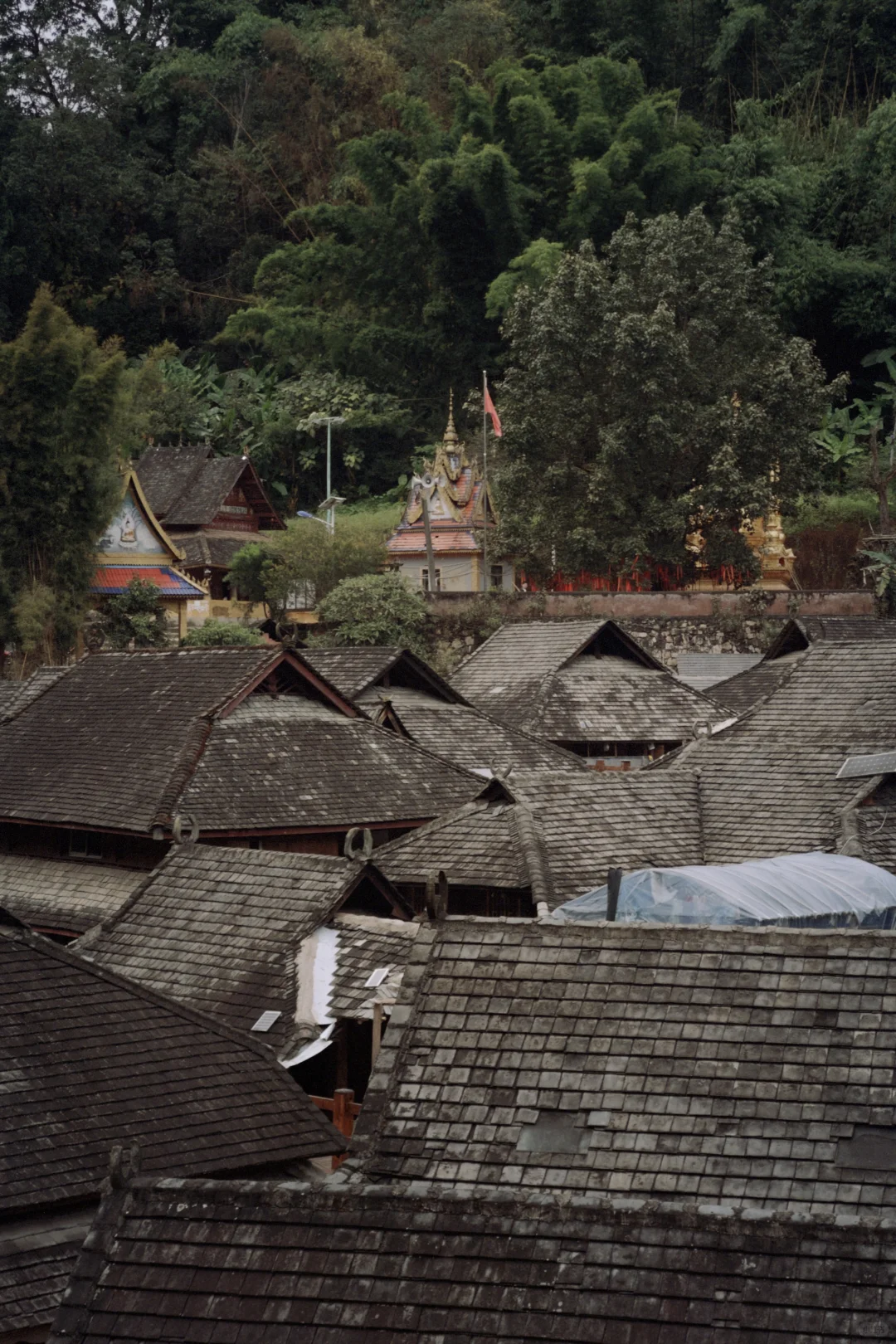 庆幸自己拥有独自探索世界的习惯与能力