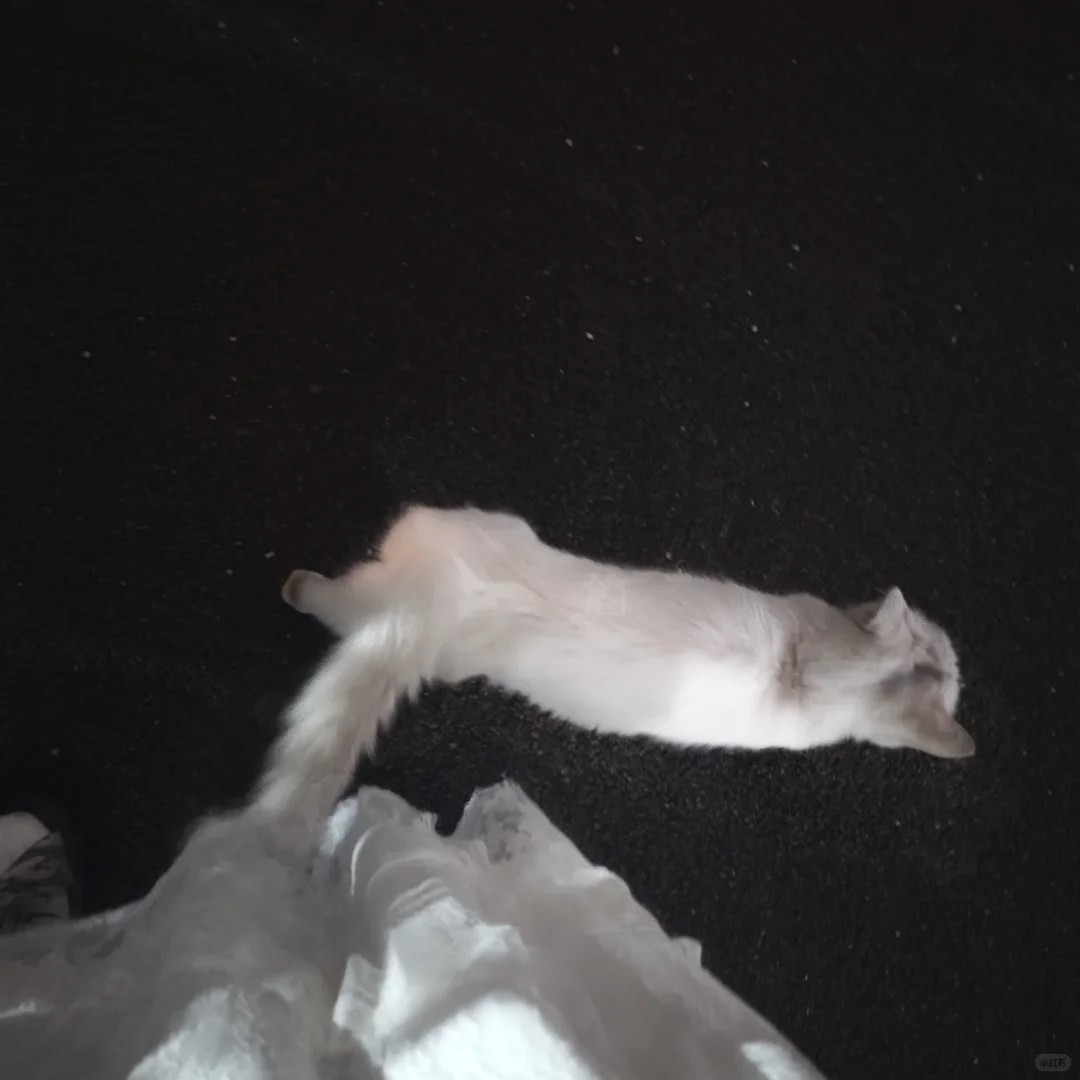 26电网一批备考新型电力系统打卡DAY3