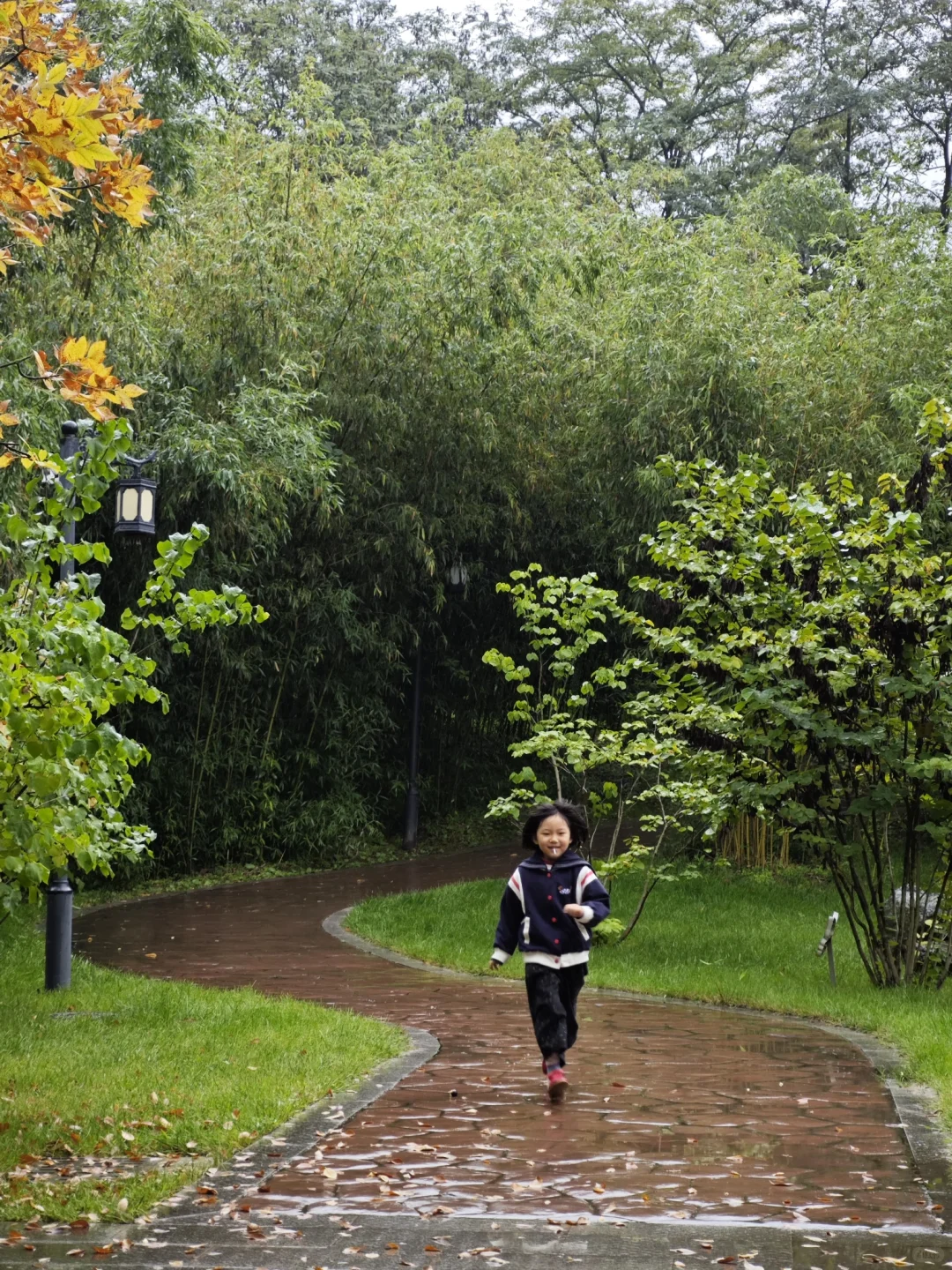 一不小心爱上了这所校园～