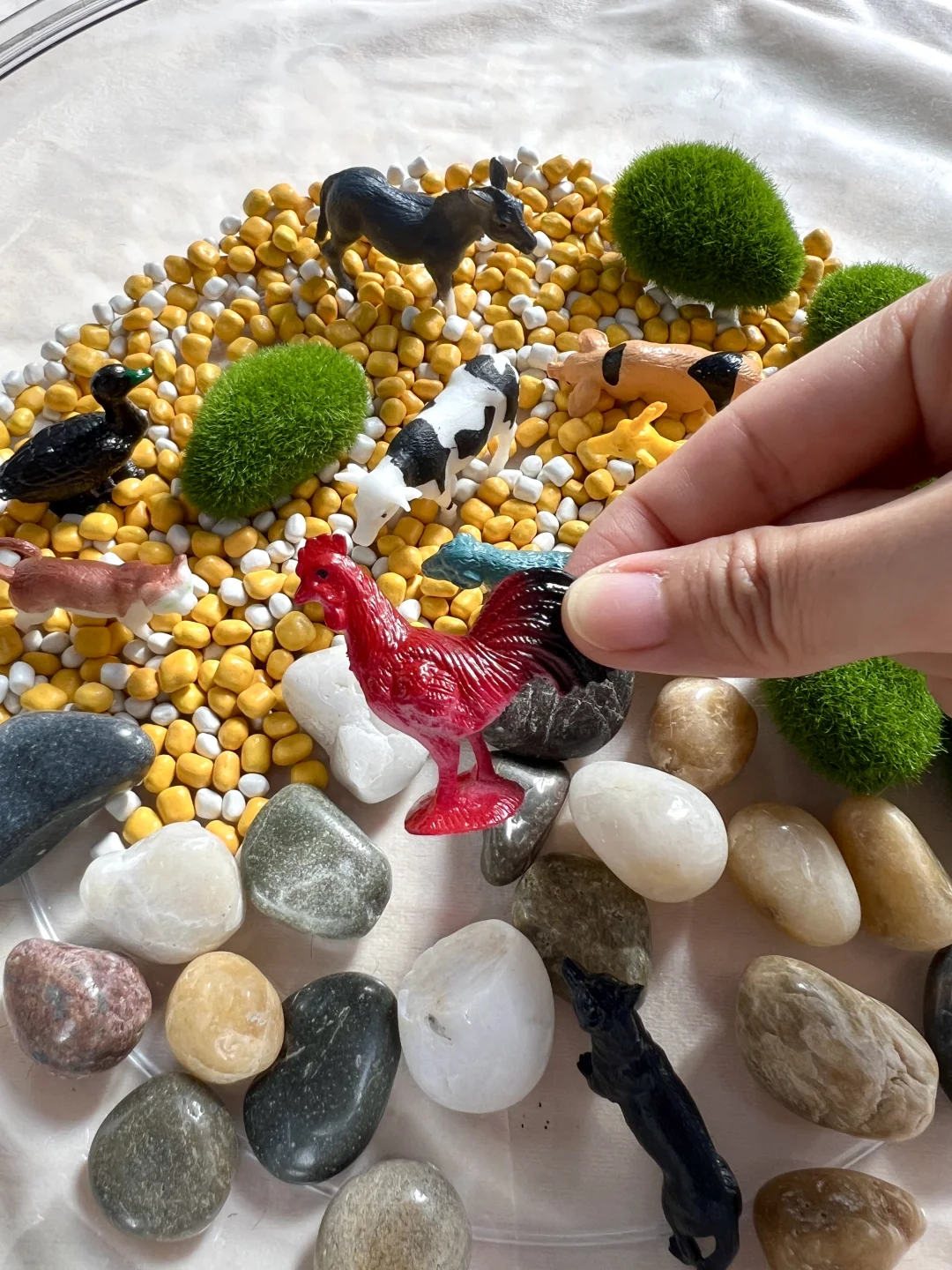 早教感官盆！陪宝宝快乐过家家~