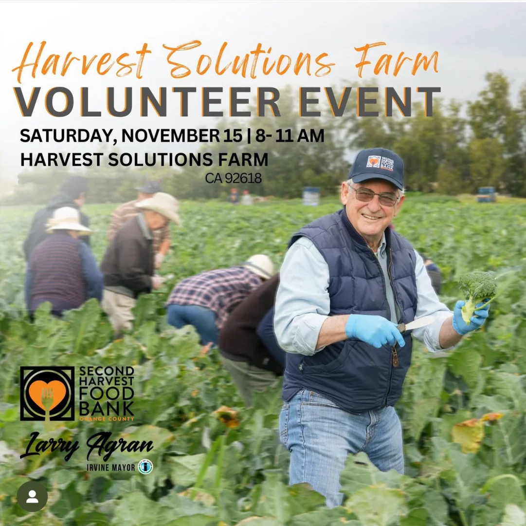 下周六和市长一起做义工|CAC俱乐部义工招募