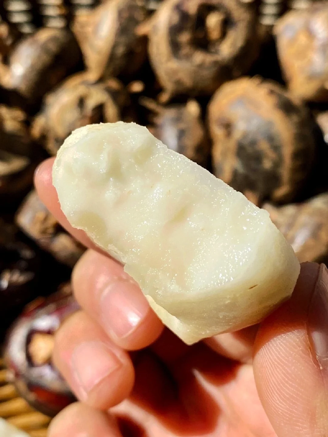 荸荠,你绝对不能错过的绿色果实!?