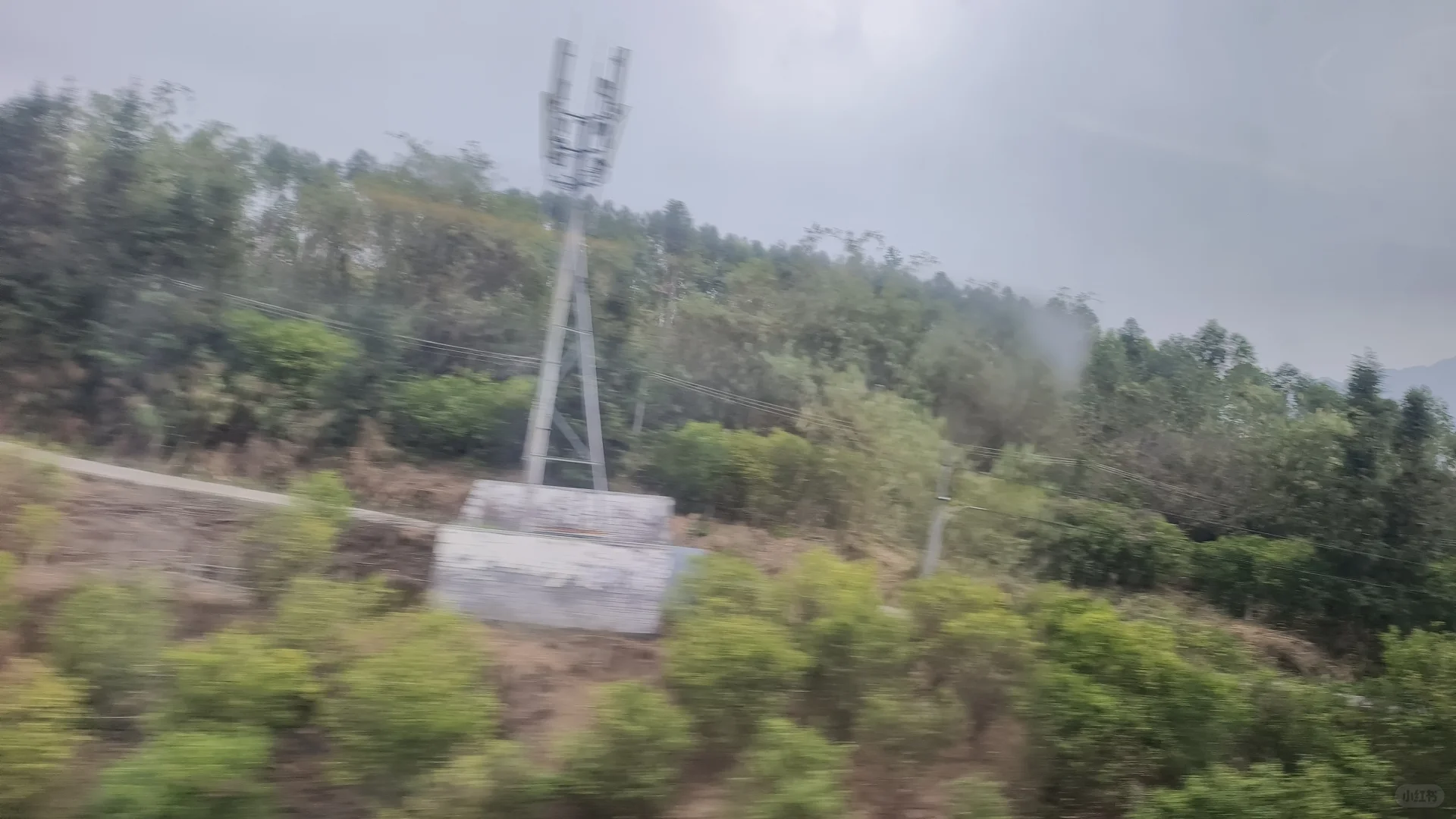 学林业的人都去哪里了