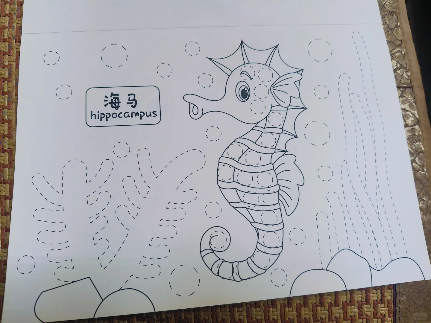 放暑假也画画！点点画神器超赞