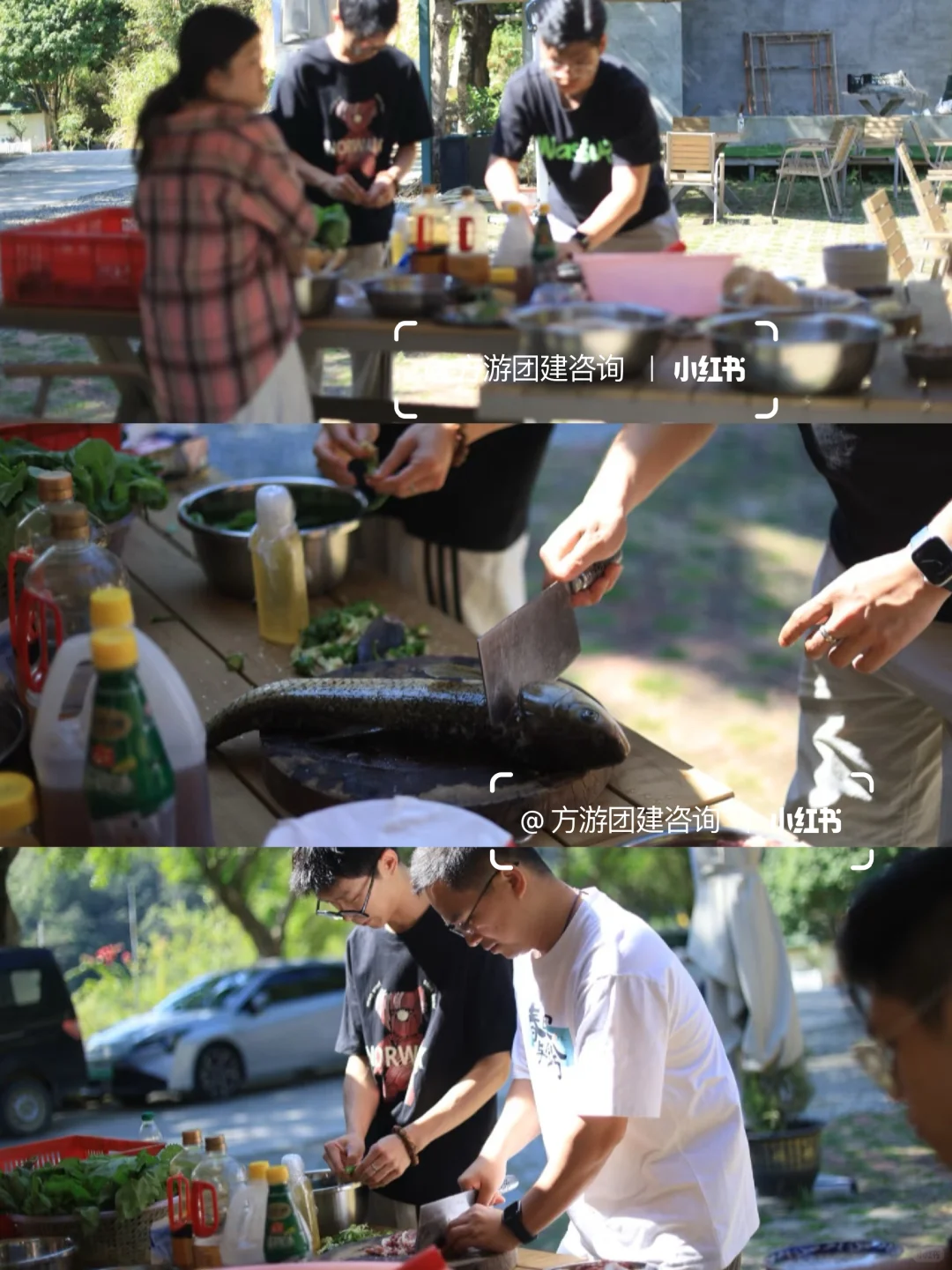 广东团建｜《向往的生活》1日解锁综艺感❗