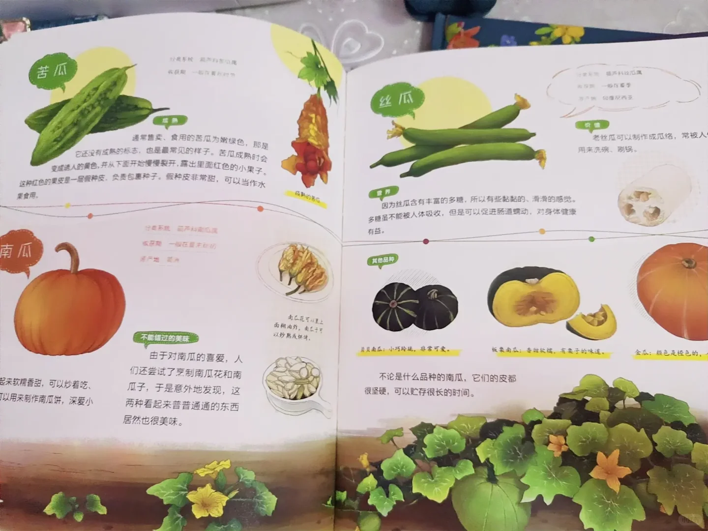 一起去野外吧——美味果蔬篇