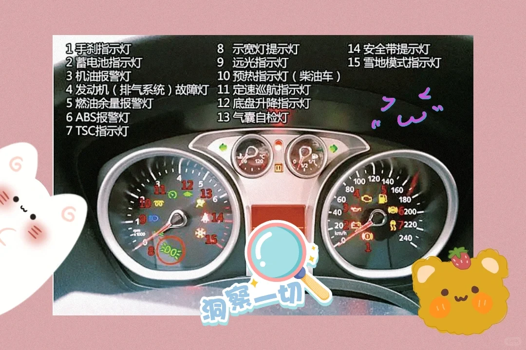 新手开车姐妹看过来~你认识几个？