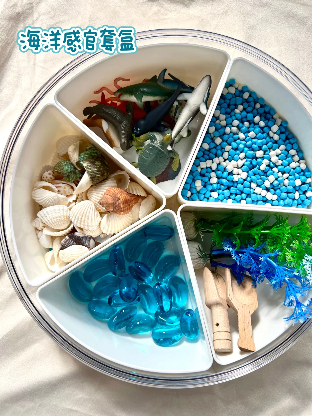 早教感官盆！陪宝宝快乐过家家~