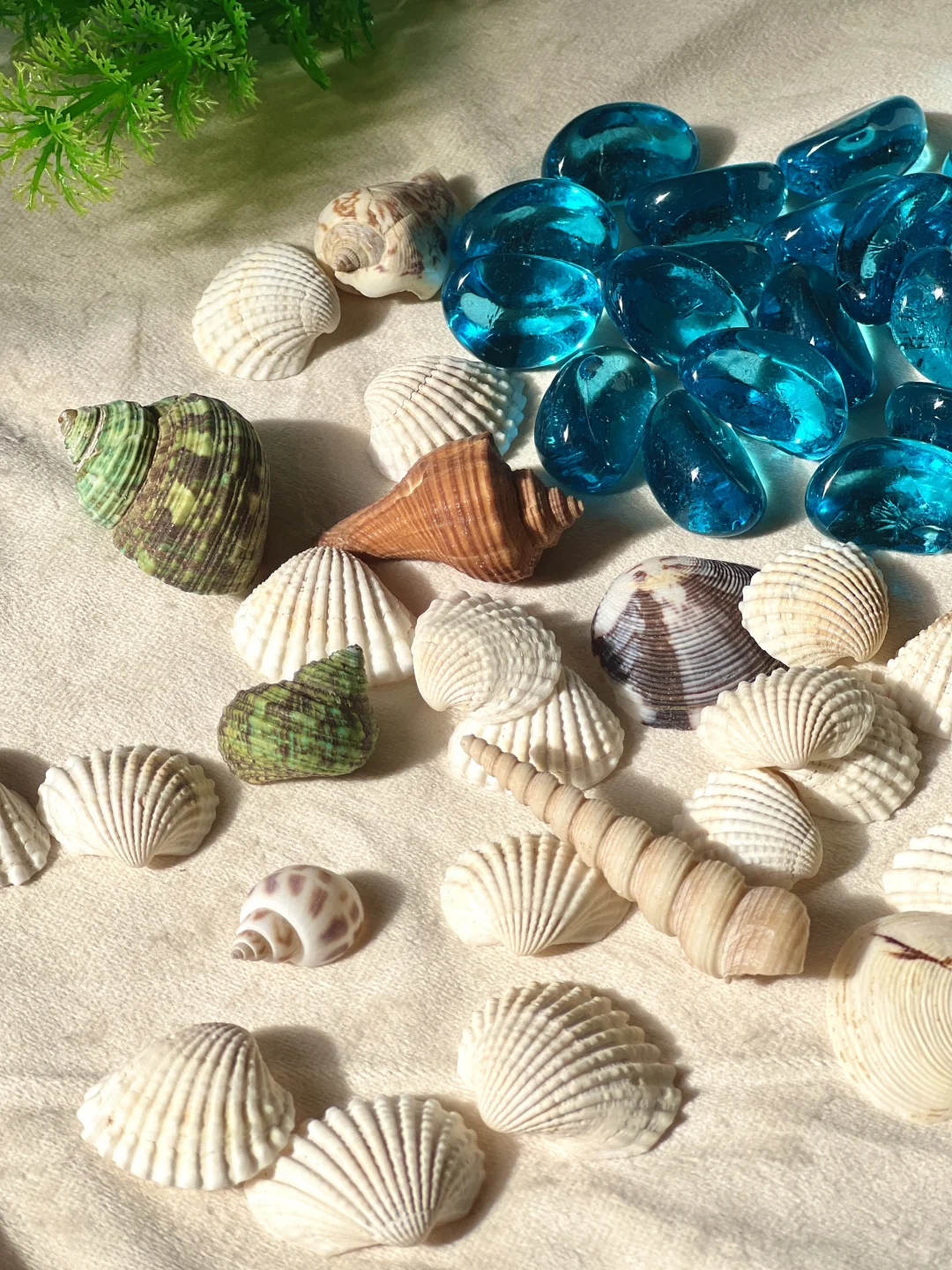 早教感官盆！陪宝宝快乐过家家~