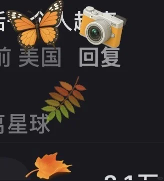 祝贺神舟二十一号载人飞船发射成功！