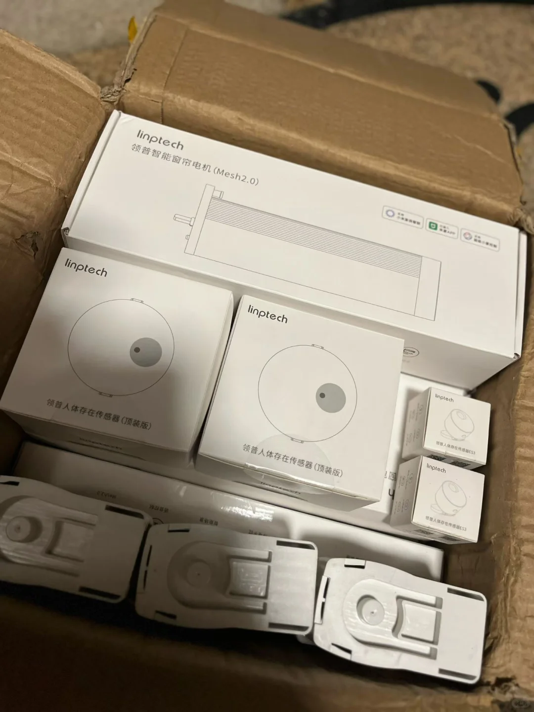 福鼎 智能开关 智能家居