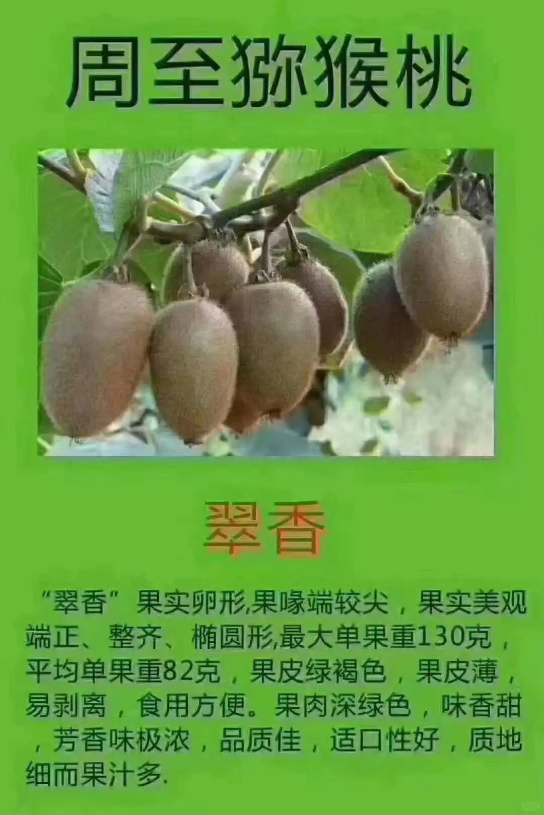 这猕猴桃谁不爱啊！！！