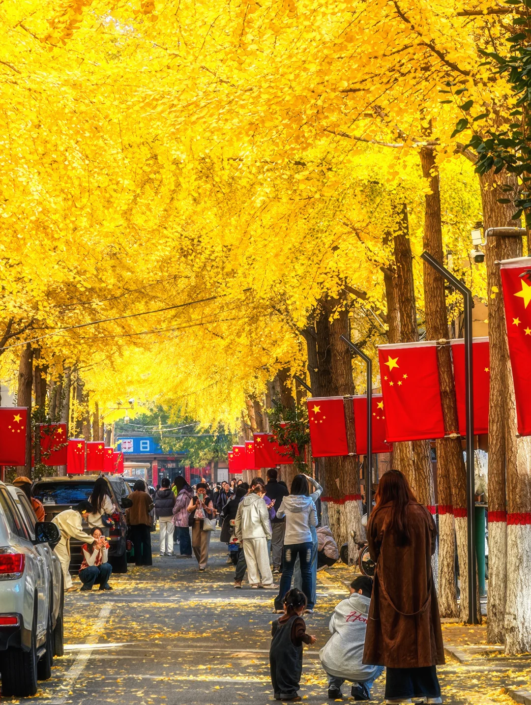 11.4太原老军营银杏?实拍❗（附攻略）