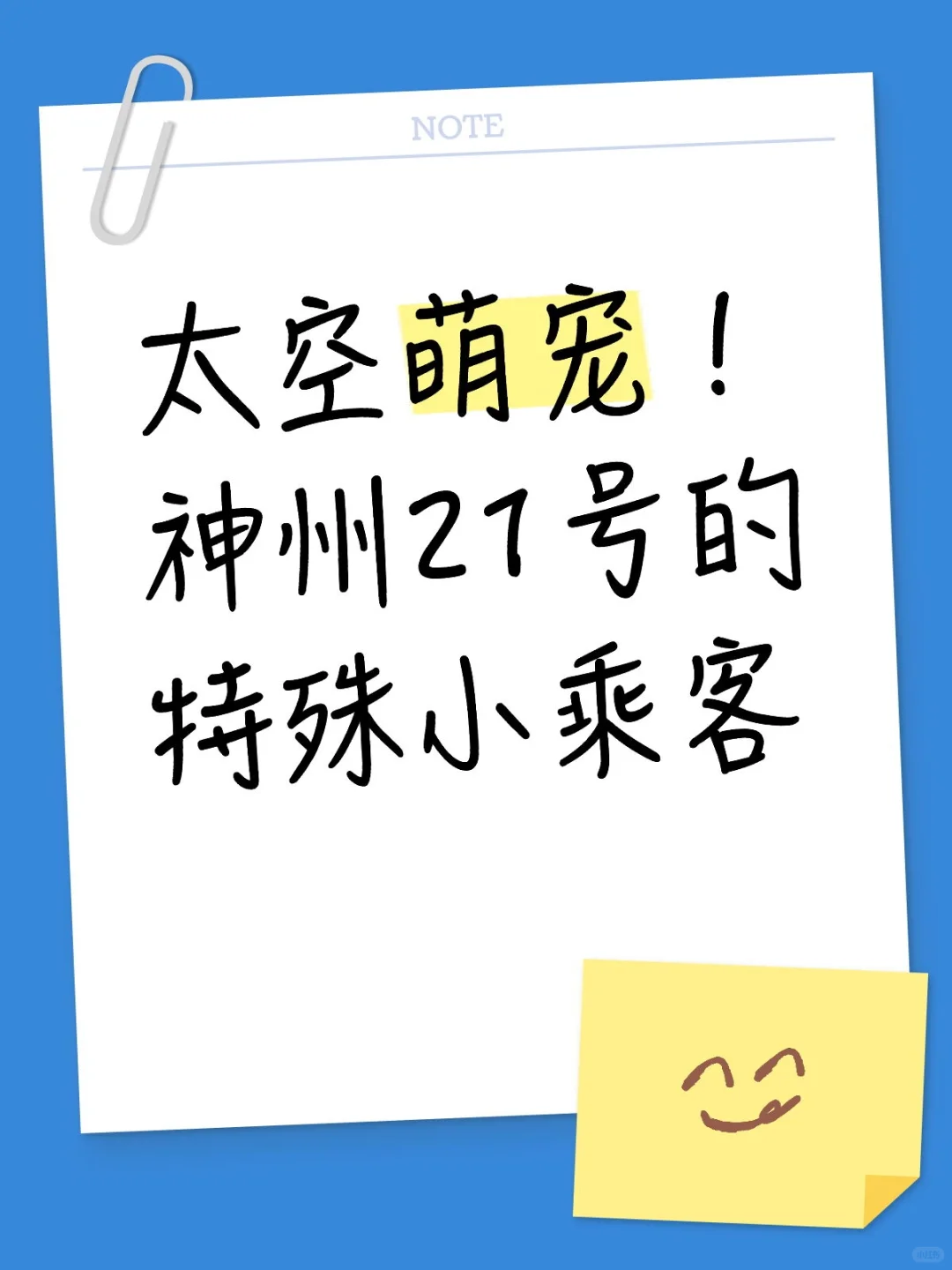 太空萌宠!神州21号的特殊小乘客