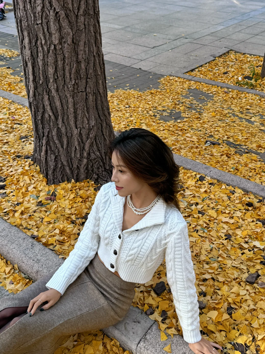 北林｜又送别一秋?