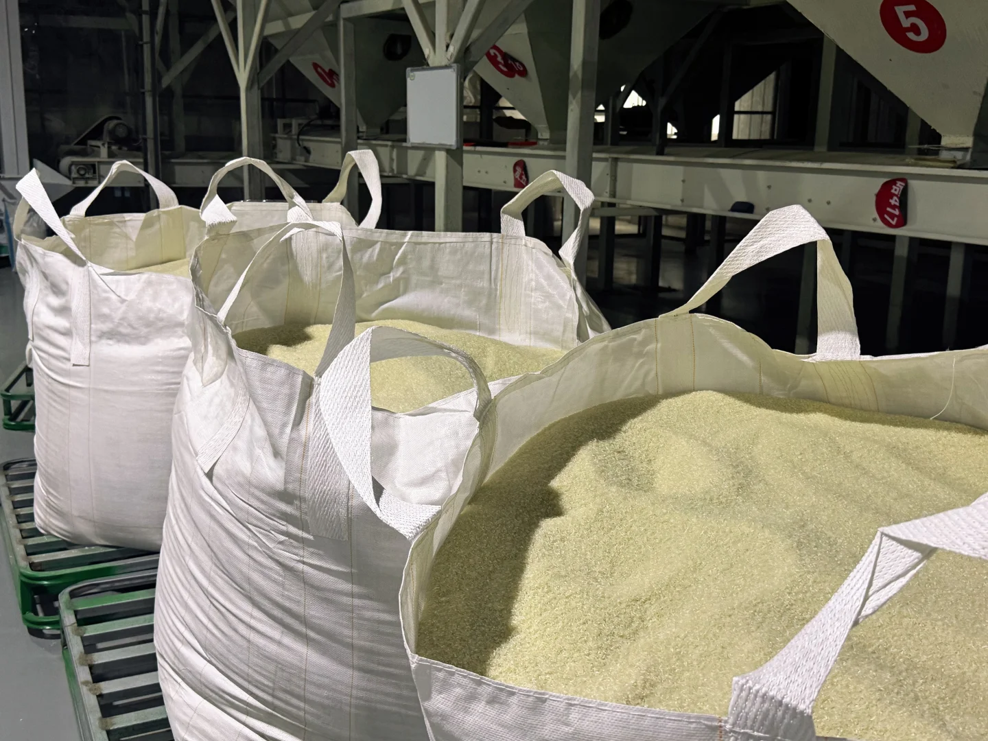 金小稻｜五常大米工厂实拍