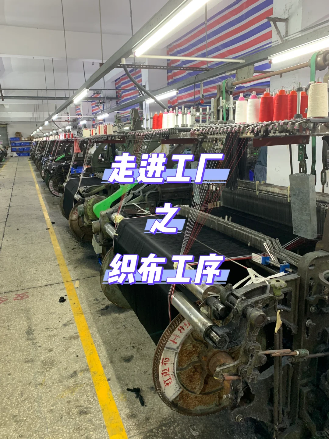 走进工厂｜为什么我们还在坚持用老式织布机？