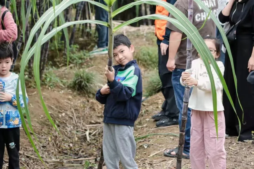 挑战参加福州100个亲子活动（100/38）