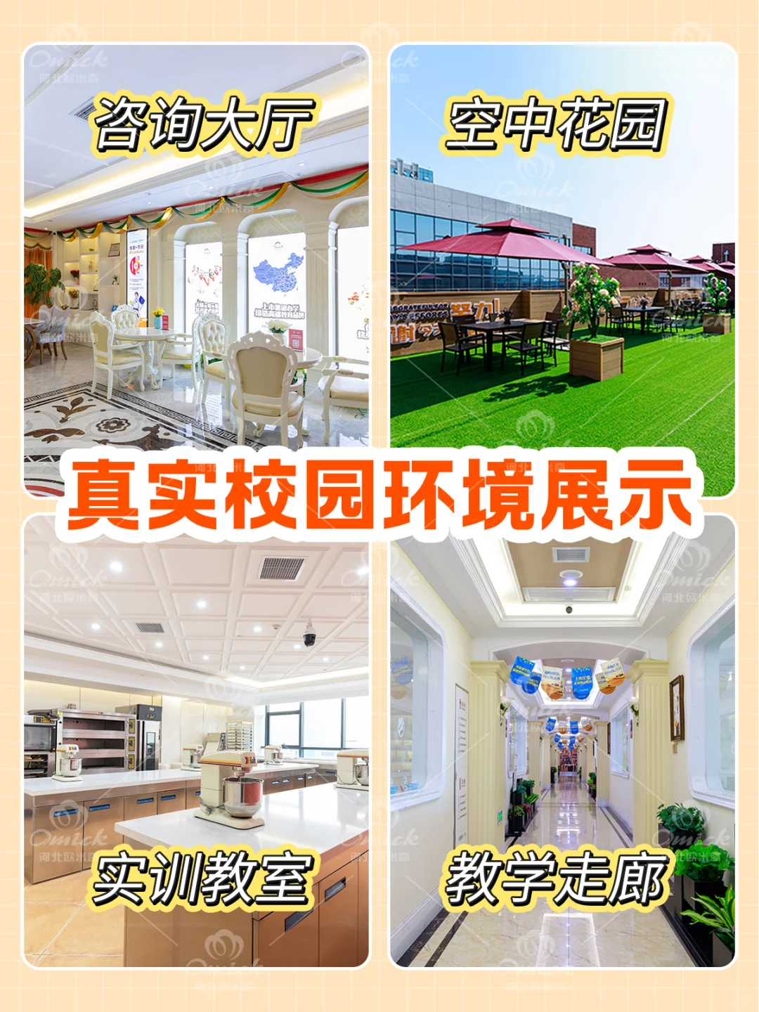 石家庄学烘焙?有哪些热门课程⁉️学费多少⁉️