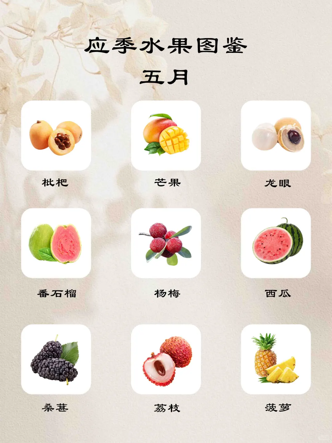 应季水果图鉴 | 五月