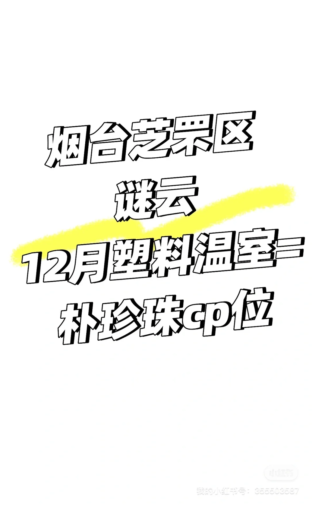 烟台芝罘区谜云塑料温室12月19日