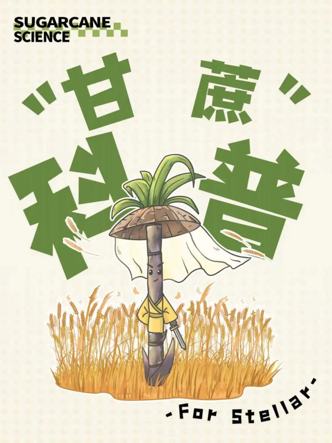 甘蔗科普｜关于甘蔗的甜味故事