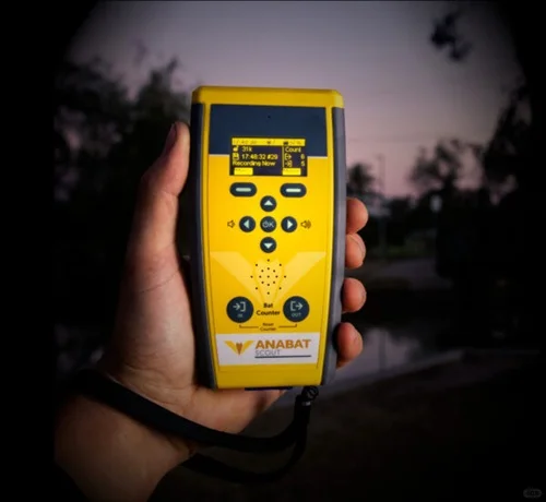 ?夜巡神器!野外党必备超值蝙蝠探测器