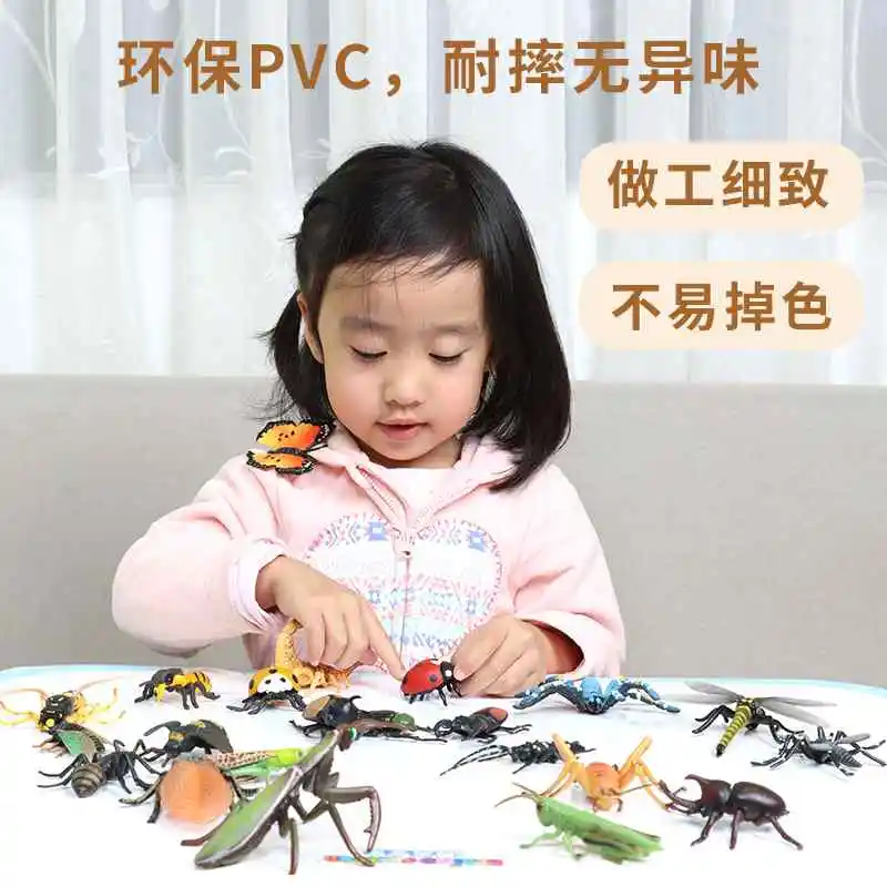 ?全网首发！昆虫模型套装太好玩了！