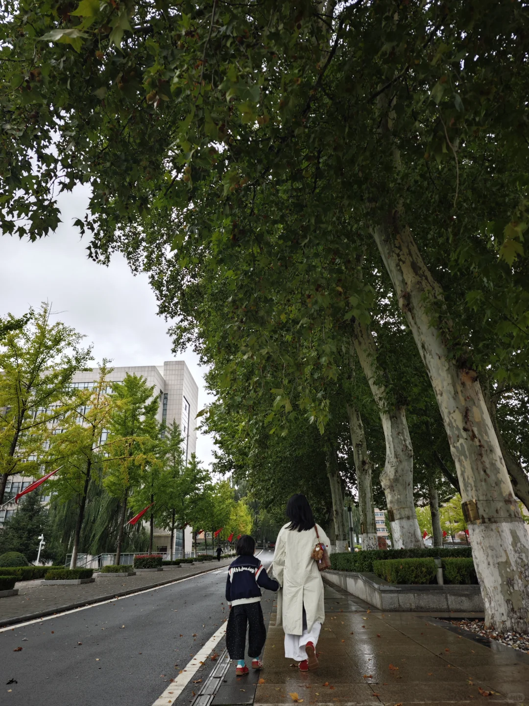 一不小心爱上了这所校园～