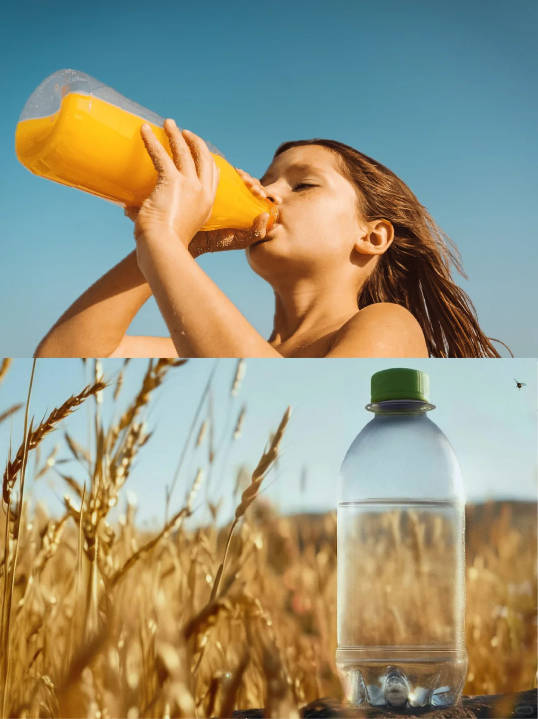 植物基塑料:由植物糖或农业废料制成