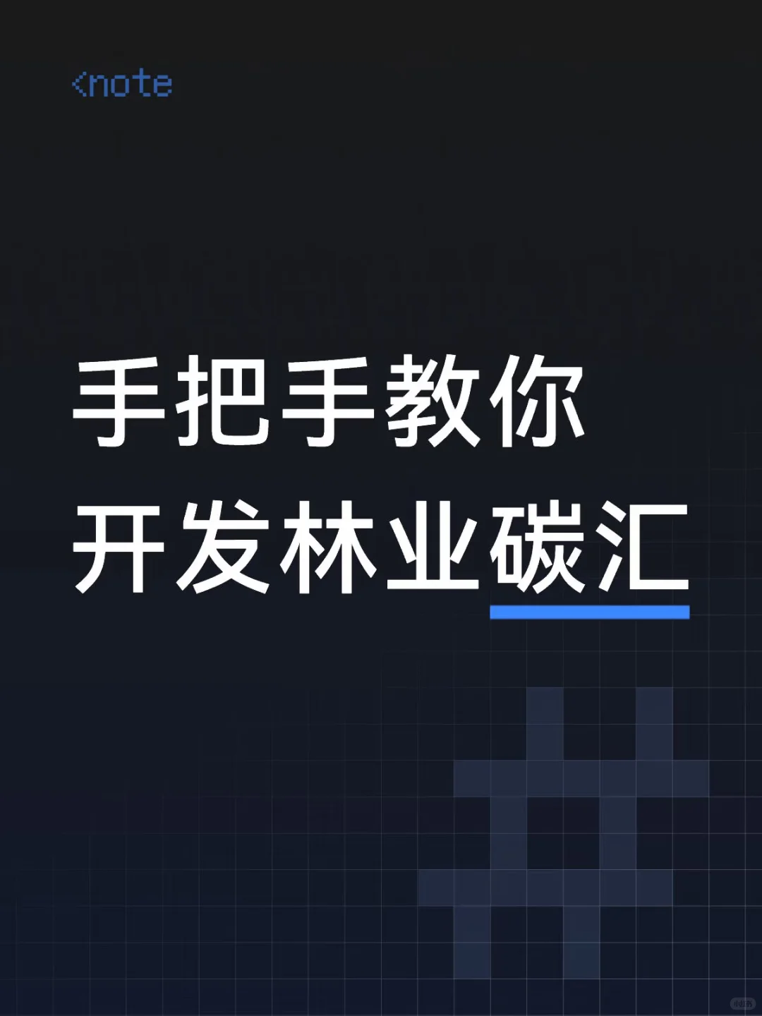 手把手教你开发林业碳汇